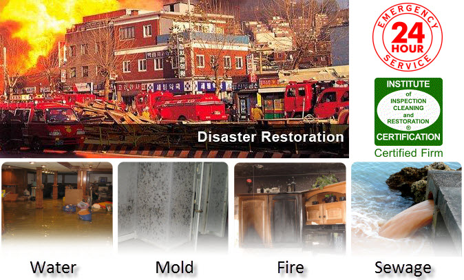 Disaster Restoration Water Mold Fire Sewage Cleanup