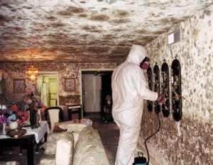 Mold Appearance After Basement Flooding