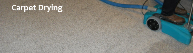 Carpet Drying Service