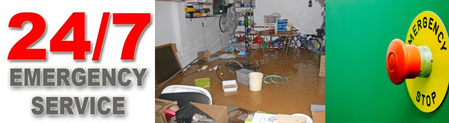 Basement water damage cleanup NJ