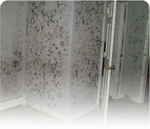 High humidity in basement cause mold damage