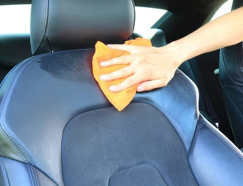 Mold in Your Car