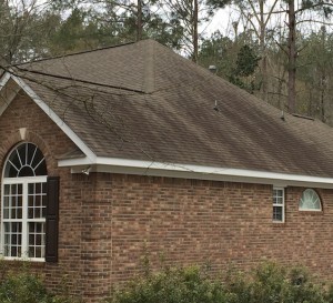 Roof Mold Removal