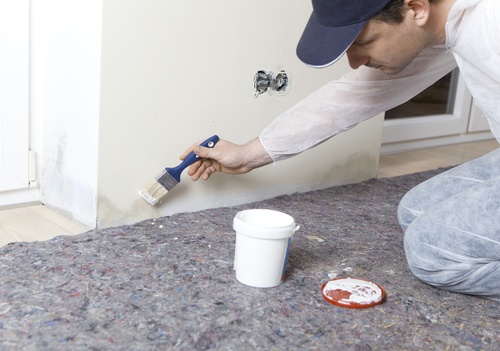 Painting Over Mold Mold Testing Indoor Air Quality