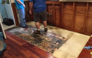 Hardwood Floor Removal