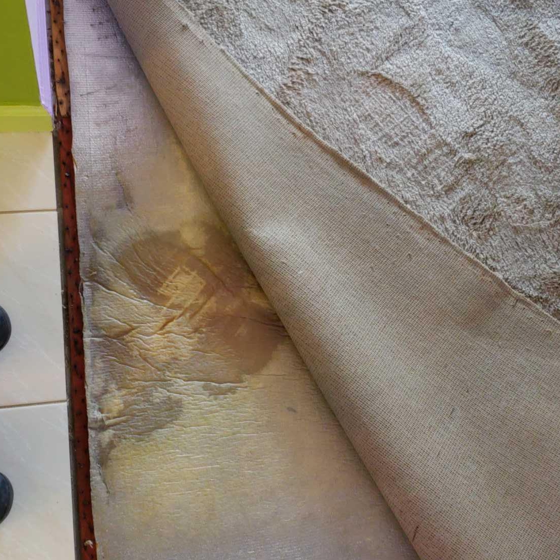 Wet Carpet Damage