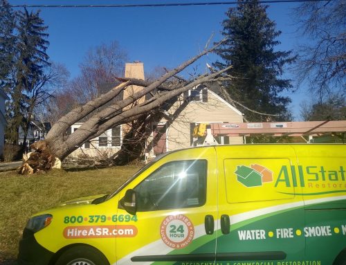 Emergency House Damage in Far Hills, NJ – Tree on House