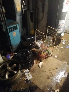 Cat urine cleanup in South Bound Brook