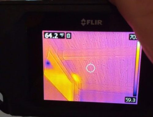 How to Spot Hidden Mold in Your Home (Before It Becomes a Problem)