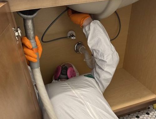 From Soaked to Safe: The Step-by-Step Water Damage Restoration Process