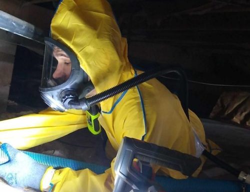 Leak Detection 101: How to Find Hidden Plumbing Leaks Before They Wreck Your Home (NJ Homeowner’s Guide)