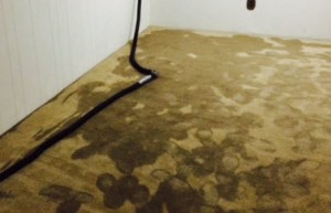 Carpet Water Damage