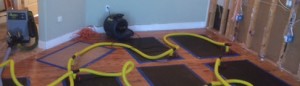 Hardwood Floor Drying NJ