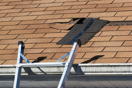 Roof Leaks Repair and Structural Damage Cleanup