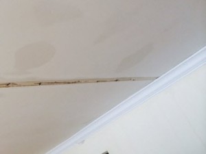 Water Damage Stains on the ceiling