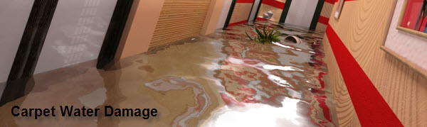 capet-water-damage-restoration-nj